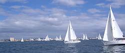 Das Regattafeld vor Palma