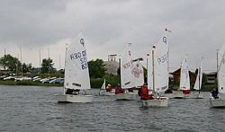 Das Regattafeld