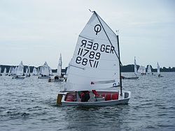 Berni im Regattafeld