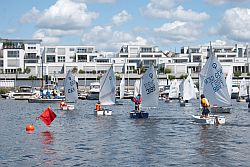 Konzentration im Schiersteiner Hafen.(Foto Bernd Klabunde)