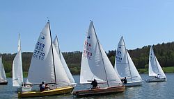 Schwertzugvögel beim Start