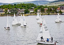 Inmitten der Rheingauer Weinberge: Regattasegeln auf dem Rhein. Im Vordergrund der amtierende Europameister der Shark24-Klasse, Horst Rudorffer auf HaiLight.