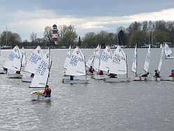Opti-Getümmel im Hafenbecken