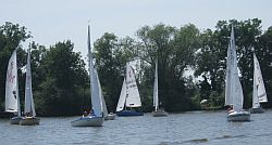 Getümmel bei der Regatta in der Hochheimer Bucht auf dem Main.