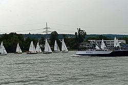 Das Regattafeld weicht der Rheinschifffahrt aus.