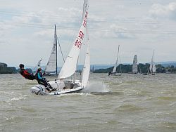 Gekämpft wird um den großen Preis   420er Jolle mit jugendlicher Besatzung auf dem Rhein