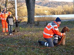 Spannend: Die Rettungshundestaffel vom DRK Bensheim  führt die Fähigkeiten der Suchhunde vor.